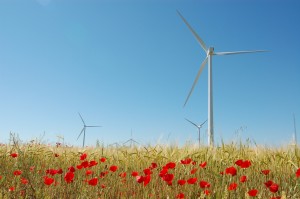 Ricardo Alba Valmorisco